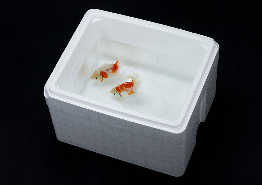 メルカリでこの箱のまま、らくらくメルカリ便で相手方に送りたい
