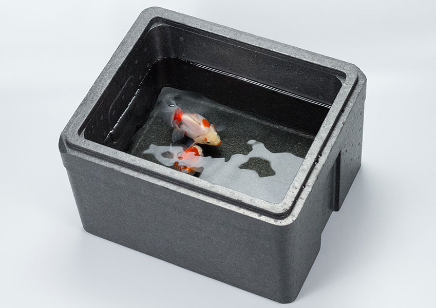 発泡スチロールのオンラインショップ 前田商店 発泡スチロールbox 中型 M 3黒